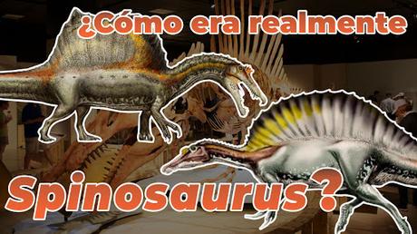 Spinosaurus: más acuático que nunca Spinosaurus: más acuático que nunca