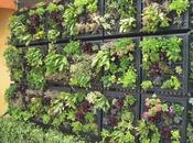 Curso jardin vertical.