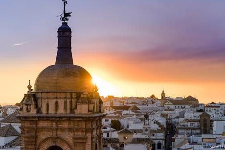 VISTAS DESDE LAS CUBIERTAS DE SAN MIGUEL EN MORÓN DE LA FRONTERA