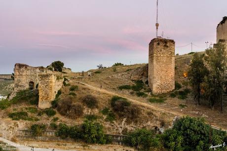 VISTAS DESDE LAS CUBIERTAS DE SAN MIGUEL EN MORÓN DE LA FRONTERA