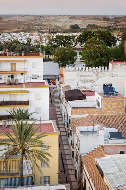 VISTAS DESDE LAS CUBIERTAS DE SAN MIGUEL EN MORÓN DE LA FRONTERA