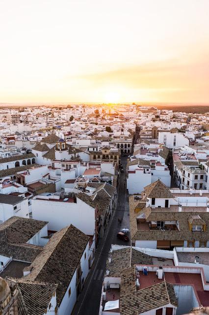 VISTAS DESDE LAS CUBIERTAS DE SAN MIGUEL EN MORÓN DE LA FRONTERA