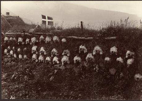 Icelandic & Faroese Photographs of Frederick W.W Howell