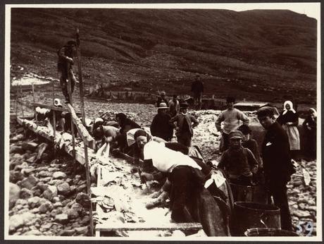 Icelandic & Faroese Photographs of Frederick W.W Howell