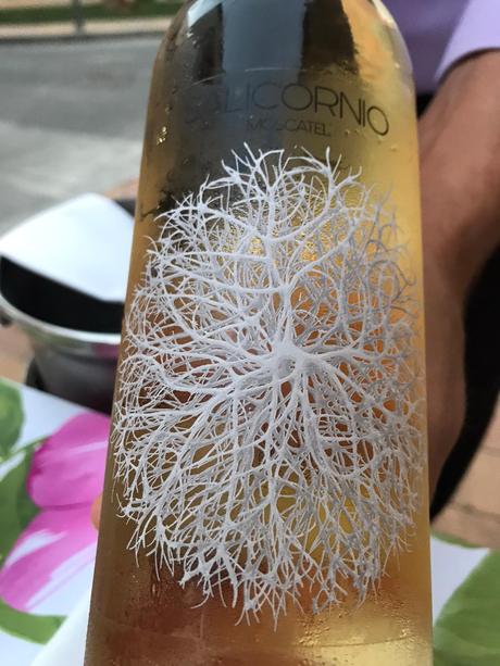 Reseña gastronómica: Restaurante El Xato y Cristina Figueira, una estrella Michelin en la Nucia Reseña gastronómica: Restaurante El Xato y Cristina Figueira, una estrella Michelin en la Nucia