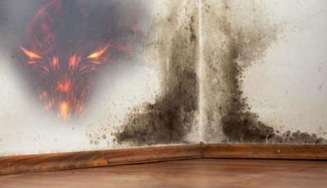 Moho en las paredes, entradas para entidades demoníacas