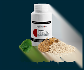Próstata. La mejora alternativa natural para los problemas de este órgano 4 Próstata. La mejora alternativa natural para los problemas de este órgano 4