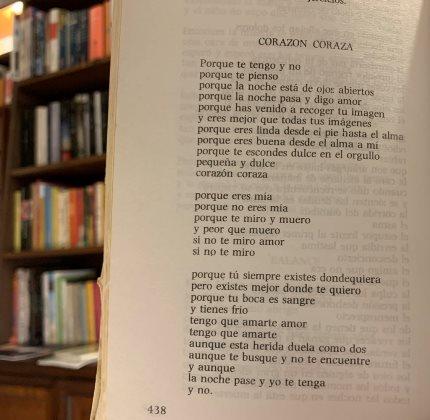 Encuentra a los mejores autores de poemas de amor