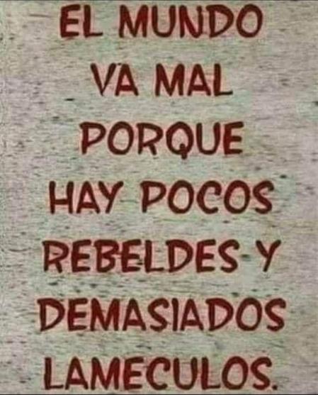 ¿Por qué todo demócrata está obligado a criticar al gobierno sin tregua?