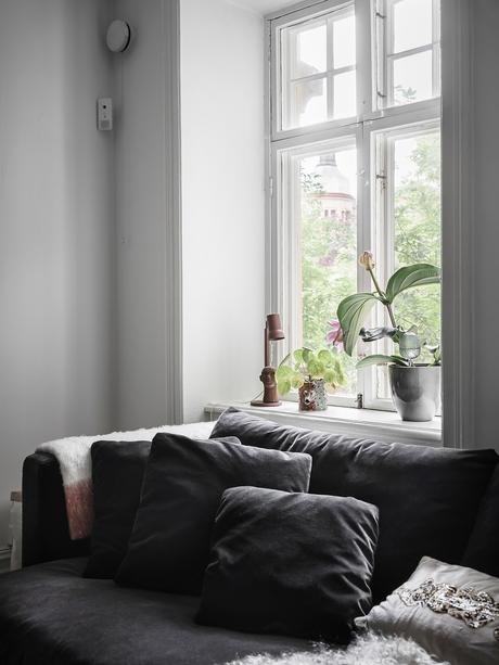 small apartment scandinavian student apartment scandinavian light scandinavian furniture pisos pequeños 1 persona pisos para estudiantes pequeñas viviendas nordic small apartment modern scandinavian style modern nordic style little apartment apartment for students  