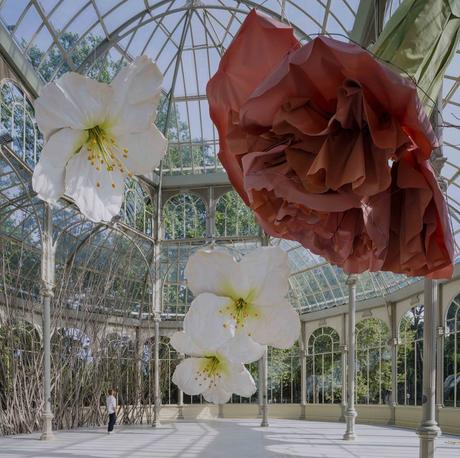 Monumental nido con flores de gran tamaño