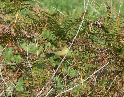 Empieza septiembre. Disfrutémoslo