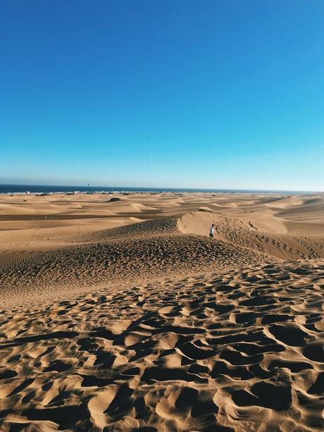 Cinco platos típicos de las Islas Canarias