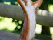 ¿Debate? Sagas Autoconclusivos