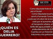 «¿Quién Delia Guerrero?» Ciudadanos Observando