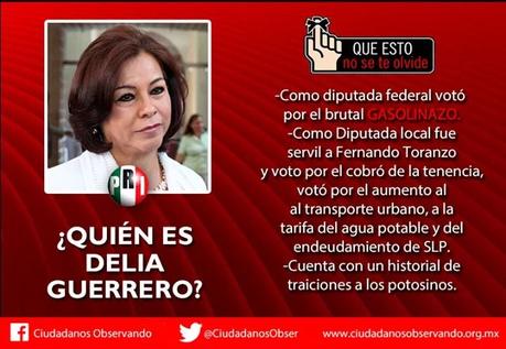 «¿Quién es Delia Guerrero?» por Ciudadanos Observando