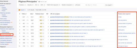 Cómo hacer un análisis de la competencia paso a paso
