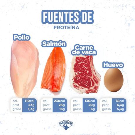 mejores fuentes de proteína