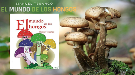El mundo de lo Hongos de Manuel Tenango