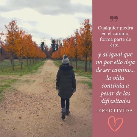 Una piedra en el camino Una piedra en el camino