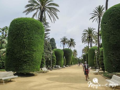 Qué hacer en Cádiz con niños
