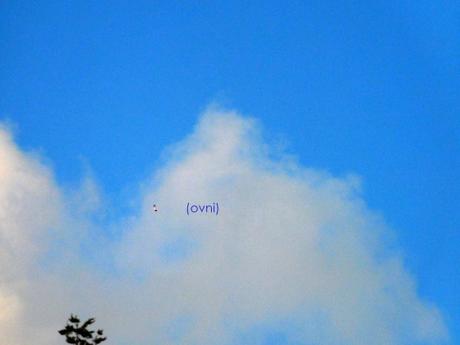 #NuevaRealidad (Ovi.) #NuevaRealidad (Ovi.)