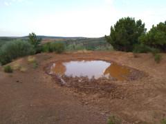 Aprovechamiento de recursos