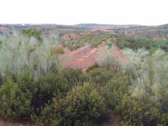 Aprovechamiento de recursos