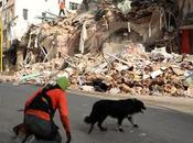 Líbano: Rescatistas piensan pueden haber sobrevivientes