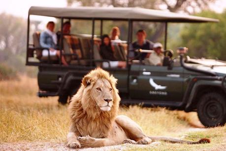 Botswana: destino para safaris de lujo