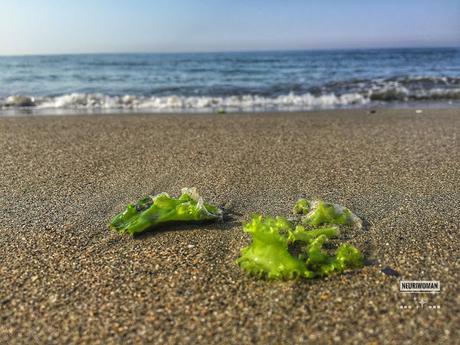 La soledad La soledad