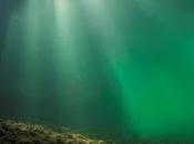 Nuevo reconocimiento para nuestro documental sobre Salmón atlántico