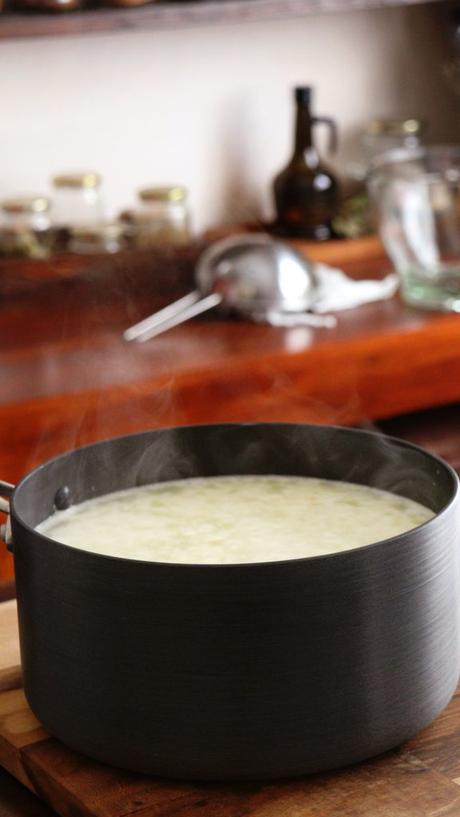 ricota casera ricotta requeson
