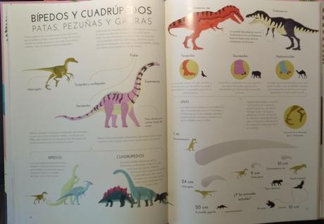 “La vida de los dinosaurios”, texto de Cristila Banfi e ilustraciones de Giulia de Amicis “La vida de los dinosaurios”, texto de Cristila Banfi e ilustraciones de Giulia de Amicis