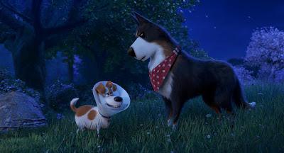 MASCOTAS 2 (The Secret Life of Pets 2) (USA, 2019) Animación