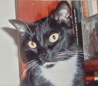 Carta de despedida a Lluna