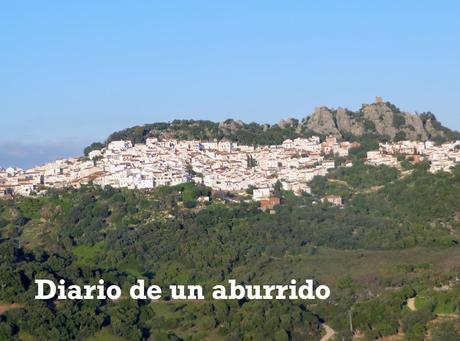 Júzcar, la casa de los Pitufos en plena Serranía de Ronda, seguida de dos recomendaciones gastronómicas
