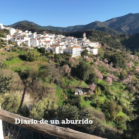 Júzcar, la casa de los Pitufos en plena Serranía de Ronda, seguida de dos recomendaciones gastronómicas