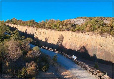 Bosque fósil de Verdeña Bosque fósil de Verdeña