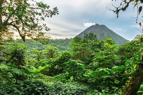 Costa Rica destino viaje con selva