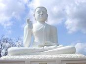 Nirvana… ¿Alcanzar inalcanzable?