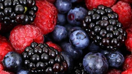 Excursión en familia para recoger frutos silvestres