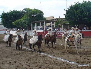 Faldas Largas Con Mono Atras Faldas Largas Con Mono Atras