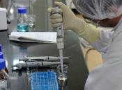 India: Instituto Serum pausa ensayos vacuna AstraZeneca