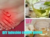 gases inflamación intestinal: Infusión hecha casa