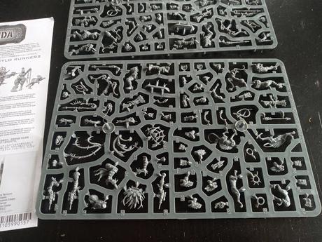 Foto-reseña de la caja de Wyld Runners y Death Maidens de la Casa Escher