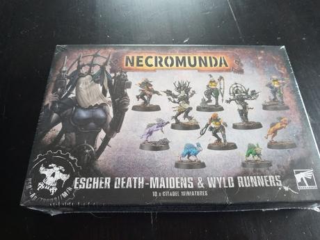Foto-reseña de la caja de Wyld Runners y Death Maidens de la Casa Escher