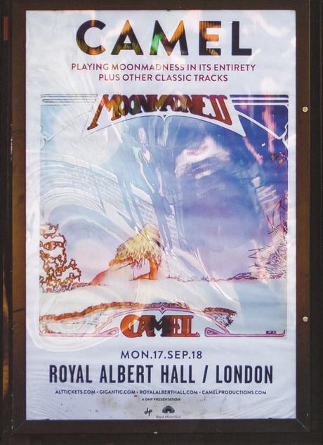 Camel - Live at the Royal Albert Hall (2019)