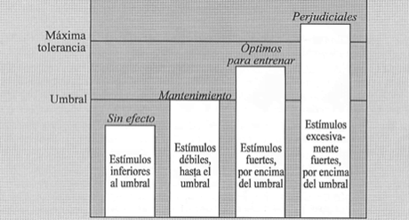 principio de progresión y sobrecarga