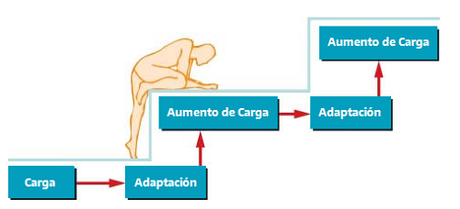 principio de progresión y sobrecarga